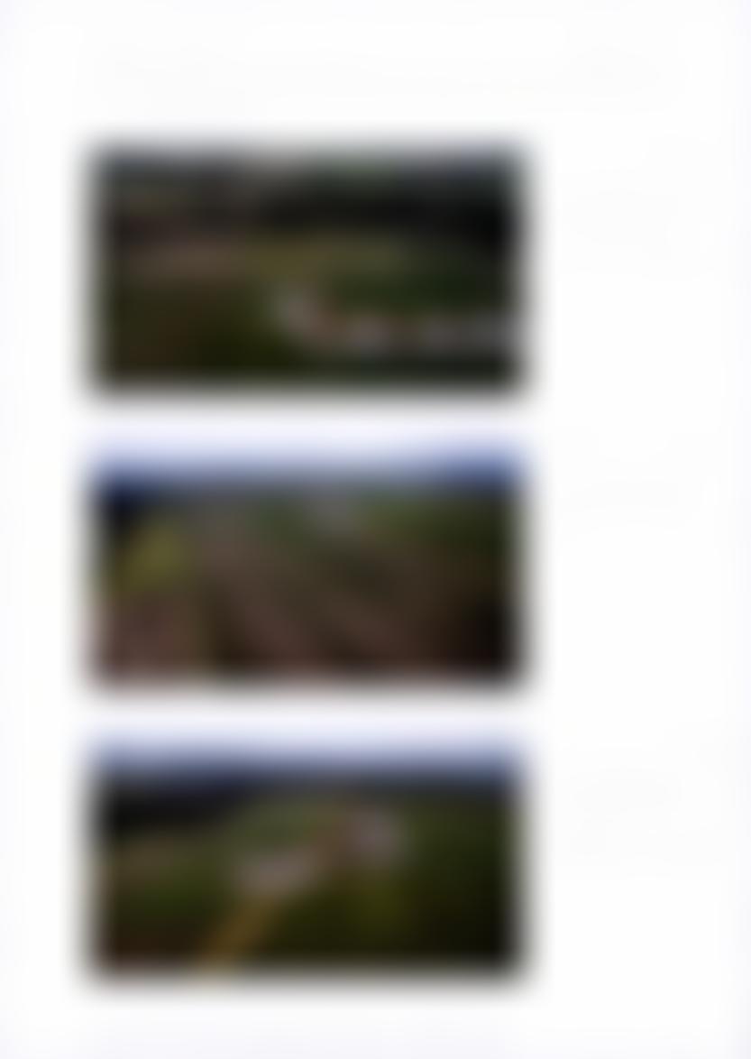 land- und forstwirtschaftlich genutztes Grundstück, Grünland in 37269 Eschwege — Zwangsversteigerung am Amtsgericht Eschwege - Aufnahme 2 von 10