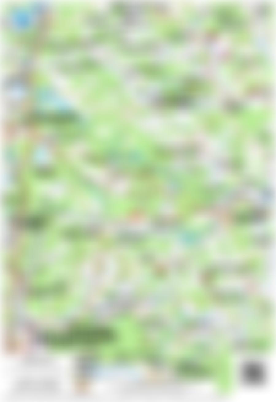 land- und forstwirtschaftlich genutztes Grundstück in 00000 Gemarkung Reichenbach Beim Fuchsenschübel Flst. 669 — Zwangsversteigerung am Amtsgericht Regensburg - Aufnahme 2 von 7