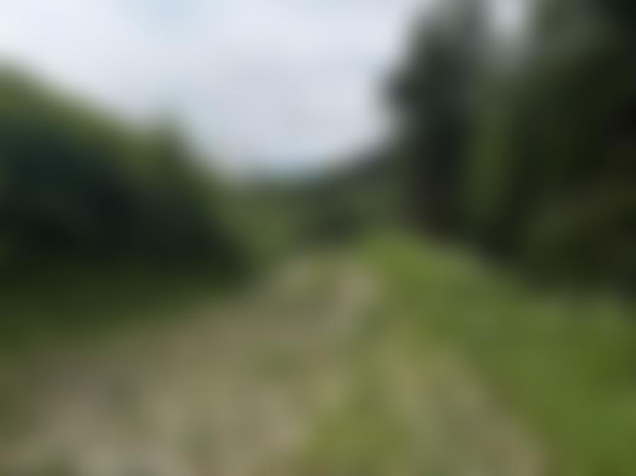 Land- u. forstw. Liegenschaft in 9433 St. Andrä Pölling — Zwangsversteigerung am Amtsgericht Bezirksgericht Wolfsberg - Aufnahme 2 von 10