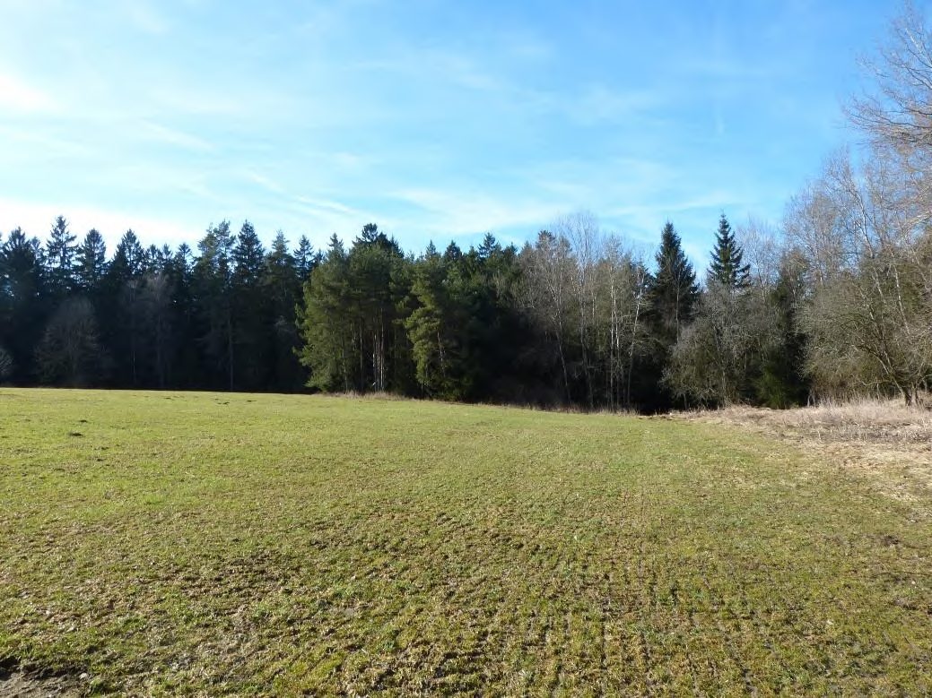 unbebautes Grundstück in Regen - Aufnahme 2 von 10