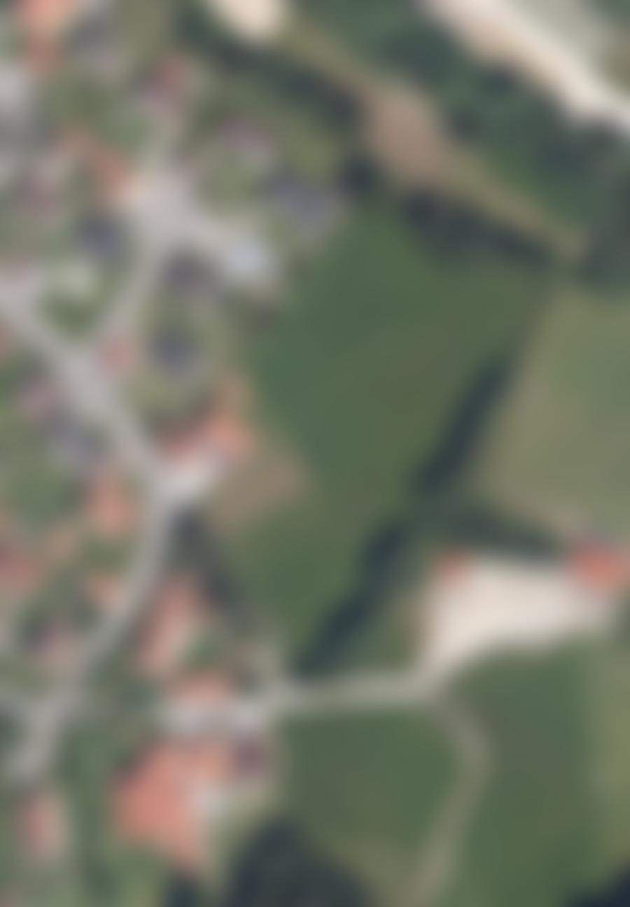 Wohnhaus, Nebengebäude und Landwirtschaftsfläche in 94209 Regen — Zwangsversteigerung am Amtsgericht Deggendorf - Aufnahme 2 von 9